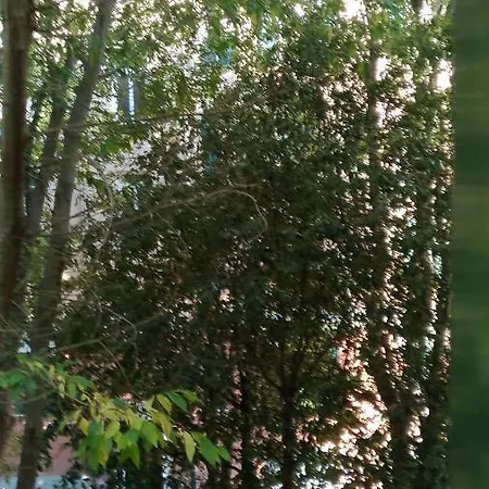 Casa Di Giovanna Apartment
