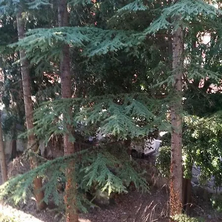 Apartamento Casa Di Giovanna *
